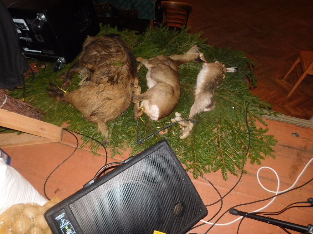 DSCN4145