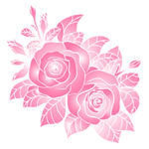 vector-pink-roses-beautiful_98964629.jpg